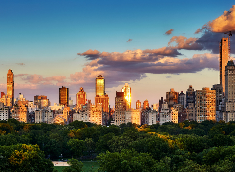 Laundry Pick up and Delivery by VeeWash - Cover